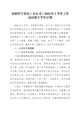 市烟草专卖局（分公司）2024年上半年工作总结和下半年计划