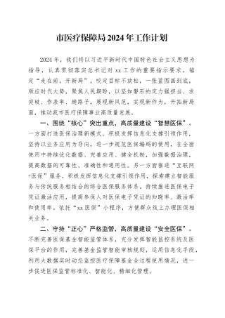 市医疗保障局2024年工作计划