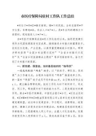 市医疗保障局驻村工作队工作总结