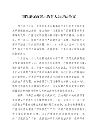 市以案促改警示教育大会讲话会议20240329