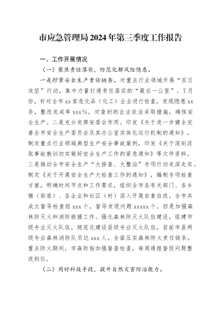 市应急管理局2024年第三季度工作报告