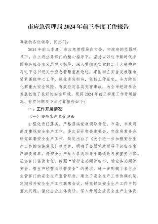 市应急管理局2024年前三季度工作报告