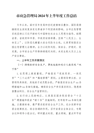市应急管理局2024年上半年度工作总结