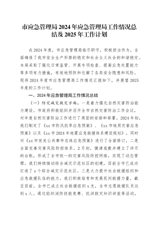 市应急管理局2024年应急管理局工作情况总结及2025年工作计划