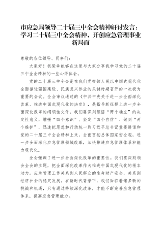 市应急局领导二十届三中全会精神研讨发言：学习二十届三中全会精神，开创应急管理事业新局面