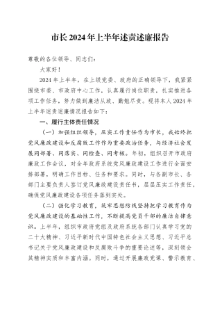 市长2024年上半年述责述廉报告