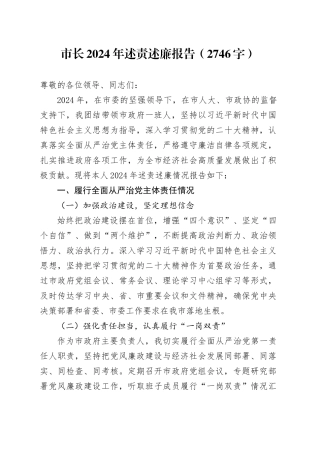 市长2024年述责述廉报告（2746字）