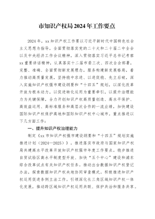 市知识产权局2024年工作要点（20240325）