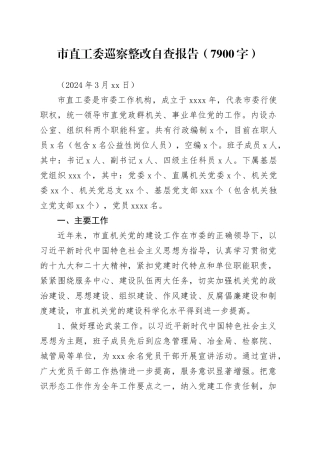 市直工委巡察整改自查报告（7900字）