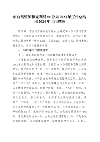 市自然资源和规划局分局2023年工作总结和2024年工作思路（20240131）