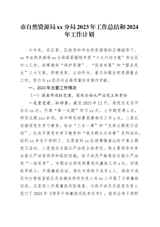 市自然资源局分局2023年工作总结和2024年工作计划（20240111）