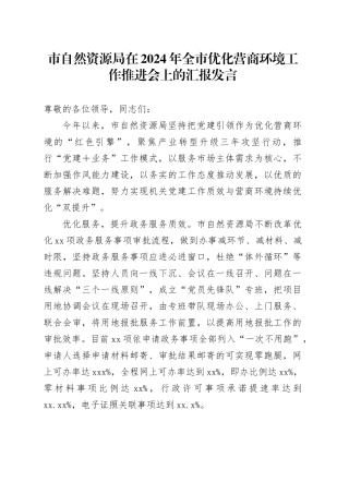 市自然资源局在2024年全市优化营商环境工作推进会上的汇报发言