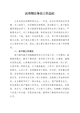 试用期公务员工作总结