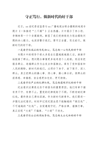 守正笃行,做新时代好干部