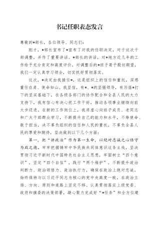 书记任职表态发言