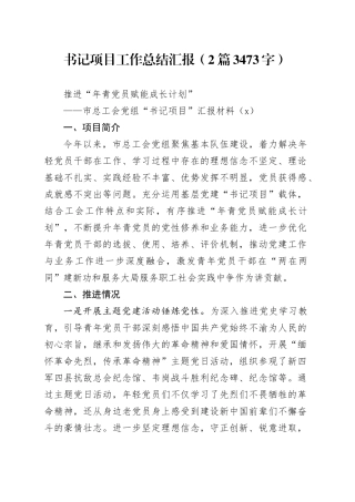 书记项目工作总结汇报（2篇3473字）