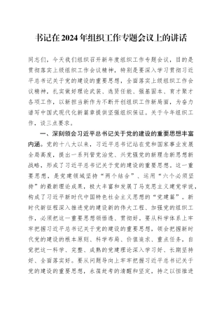 书记在2024年组织工作专题会议上的讲话