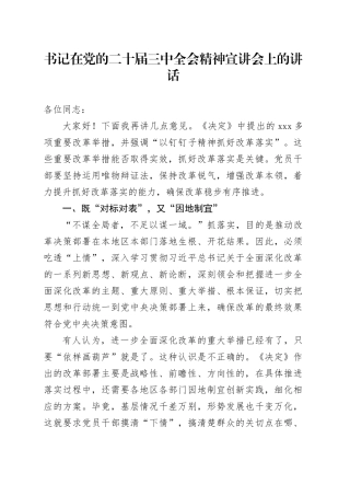 书记在党的二十届三中全会精神宣讲会上的讲话