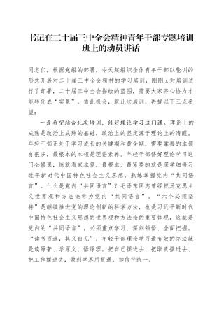 书记在二十届三中全会精神青年干部专题培训班上的动员讲话