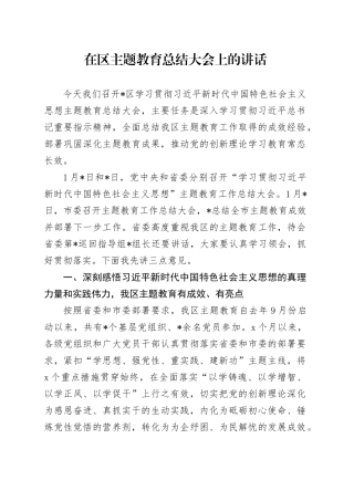 书记在区主题教育总结大会上的讲话4900字√