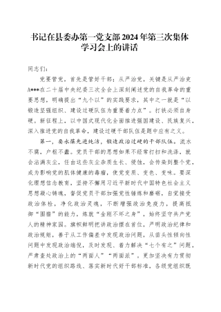 书记在县委办第一党支部2024年第三次集体学习会上的讲话
