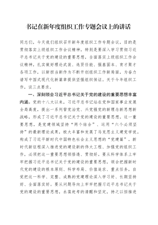 书记在新年度组织工作专题会议上的讲话