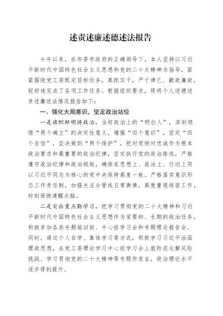 述责述廉述德述法报告