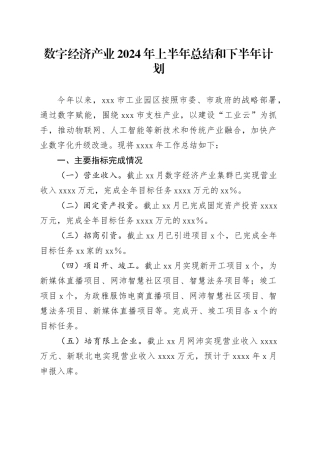 数字经济产业2024年上半年总结和下半年计划