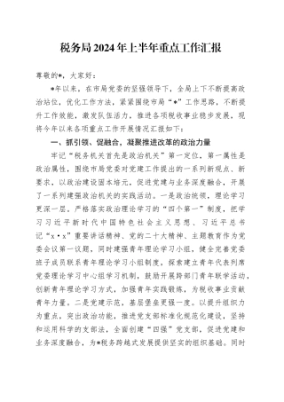 税务局2024年上半年重点工作汇报