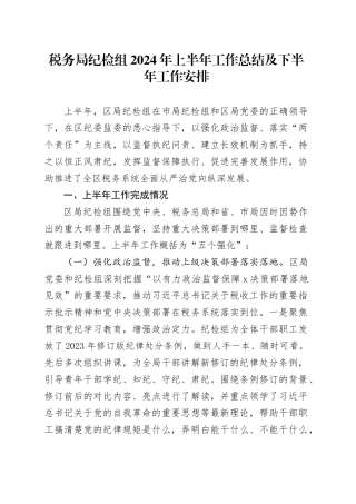 税务局纪检组2024年上半年工作总结4700字