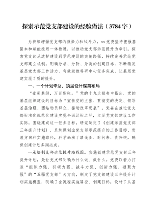 探索示范党支部建设的经验做法（3784字）