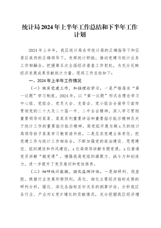 统计局2024年上半年工作总结和下半年工作计划