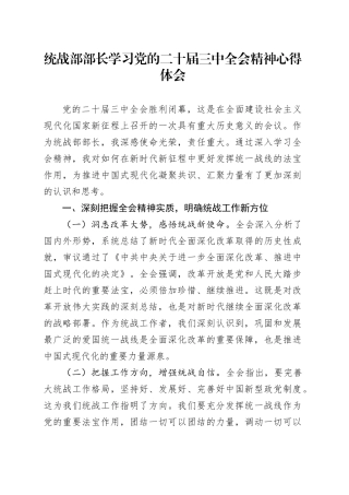 统战部部长学习党的二十届三中全会精神心得体会