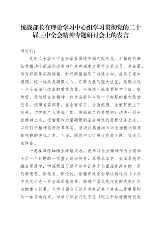 统战部长在理论学习中心组学习贯彻党的二十届三中全会精神专题研讨会上的发言