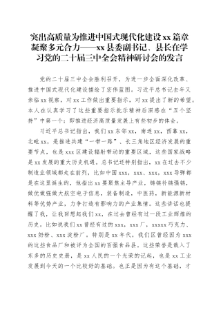 突出高质量为推进中国式现代化建设xx篇章凝聚多元合力——Xx县委副书记、县长在学习党的二十届三中全会精神研讨会的发言