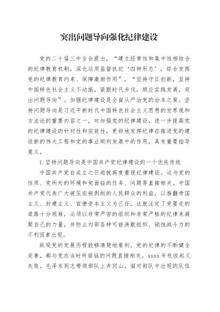 突出问题导向 强化纪律建设