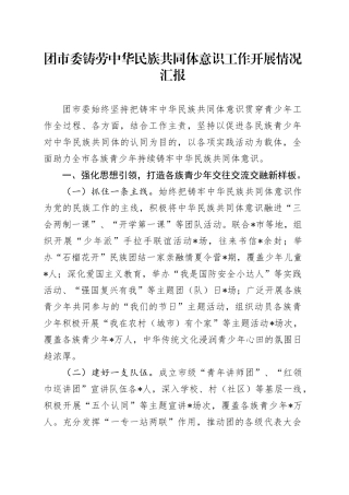 团市委铸劳中华民族共同体意识工作开展情况汇报