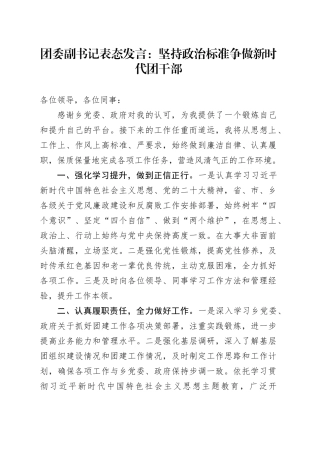 团委副书记表态发言：坚持政治标准 争做新时代团干部
