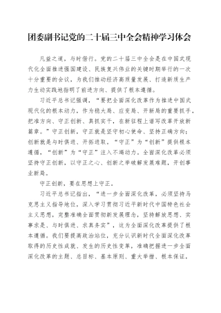 团委副书记党的二十届三中全会精神学习体会