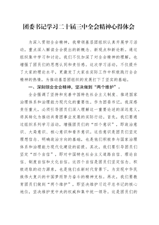团委书记学习二十届三中全会精神心得体会