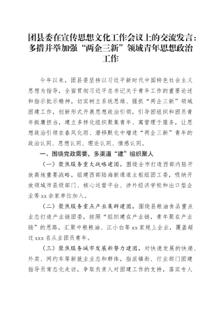 团县委在宣传思想文化工作会议上的交流发言：多措并举加强“两企三新”领域青年思想政治工作
