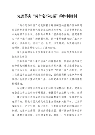 完善落实“两个毫不动摇”的体制机制