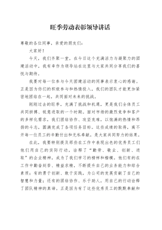 旺季劳动表彰领导讲话