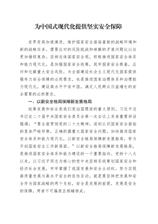 为中国式现代化提供坚实安全保障