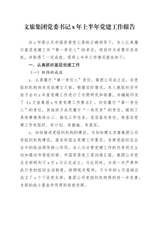文旅集团党委书记x年上半年党建工作报告