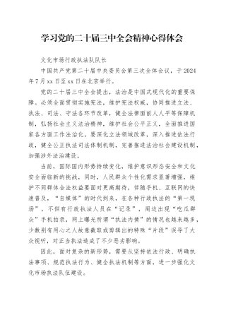 文旅局班子成员学习党的二十届三中全会精神心得体会