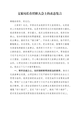 文旅局长在任职大会上的表态发言