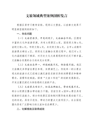 文旅领域典型案例剖析发言