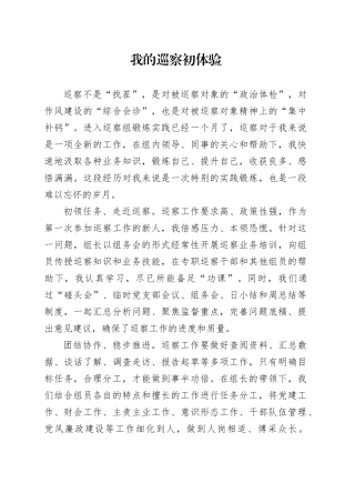 我的巡察初体验（心得体会）