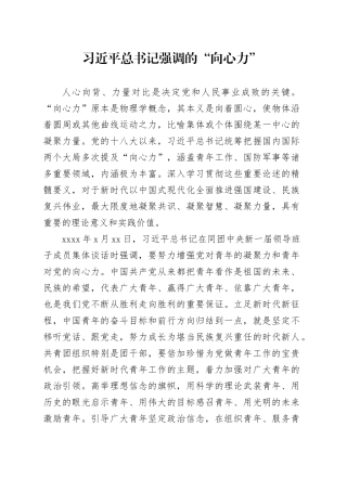 习近平总书记强调的“向心力”